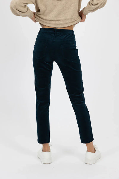 HUMIDITY - Navy fine velvet cord pant! 10