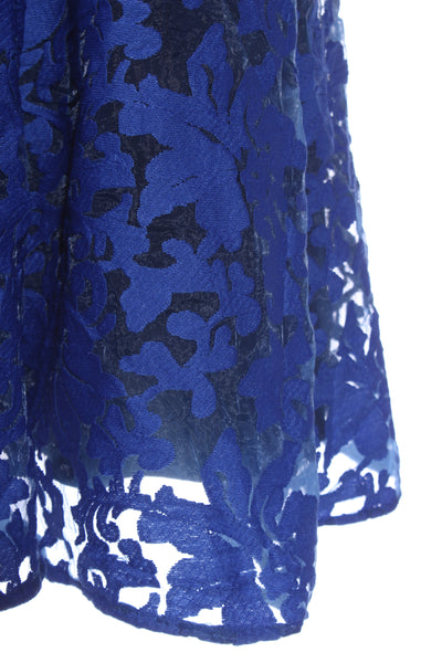 ROSE NIOR - Cobalt burn out maxi dress! 8