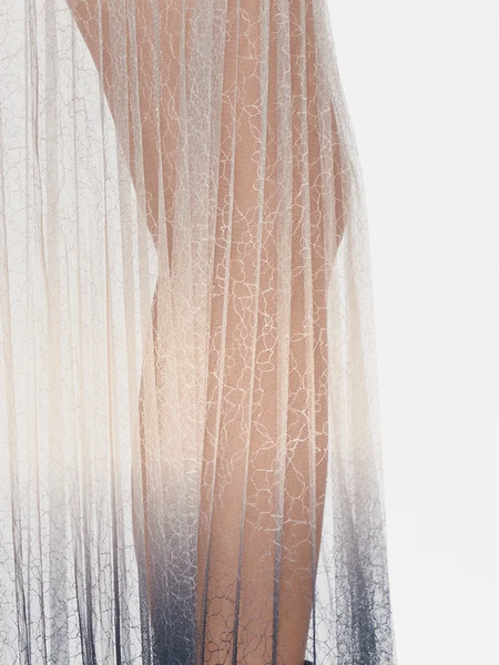 ARMANI EXCHANGE - Ombre mesh patterned skirt! 10-12