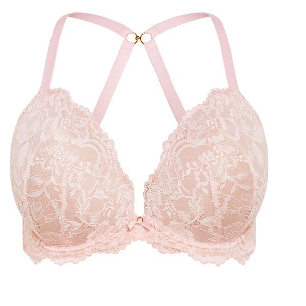CITY CHIC (BN) Adore luxe lace push up bra! 14DD